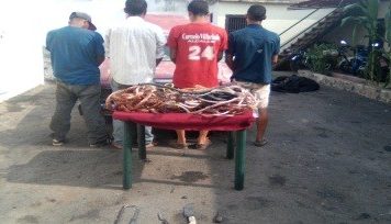 vtv gnb - noticias de hoy