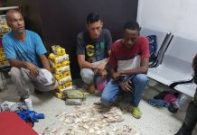 “Bachaqueros” no tienen vida en Hyperlíder de Flor Amarillo