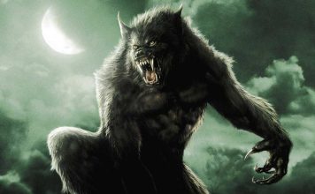 bestia - noticias de hoy