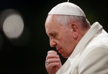 Papa Francisco - noticias de hoy