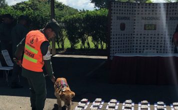 D-411 detectó camión «forra’o» con 118 panelas de cocaína en Naguanagua