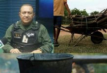 ¡Insólito! FANB repartirá leña en Los Andes para que el pueblo cocine