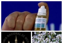 El «secreto» de Carvativir, las gotas milagrosas de Maduro contra el Covid-19 es el extracto de tomillo