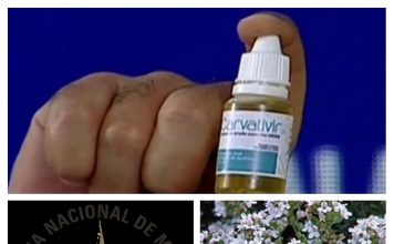 El «secreto» de Carvativir, las gotas milagrosas de Maduro contra el Covid-19 es el extracto de tomillo