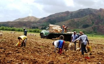 Frente en Defensa de los Productores Agropecuarios: “el campo venezolano sufre la peor crisis de su historia”