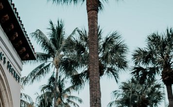 Las famosas youtubers trillizas Catalano consiguieron el millón de suscriptores en TikTok