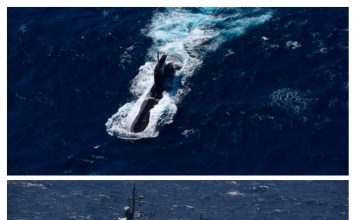 ¡Viral! Reportan presencia de un submarino nuclear de EE.UU en costas de Cartagena, Colombia