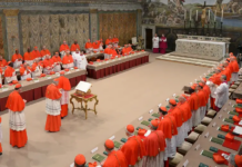 El 7 de mayo comenzará el cónclave para elegir al sucesor del papa Francisco el 7 de mayo comenzará el cónclave para elegir al sucesor del papa Francisco