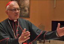 Cardenal Porras pide orar por un nuevo papa que continúe con el legado de Francisco