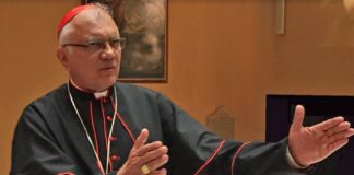 Cardenal Porras pide orar por un nuevo papa que continúe con el legado de Francisco