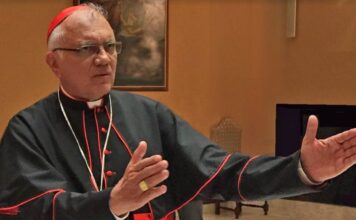 Cardenal Porras pide orar por un nuevo papa que continúe con el legado de Francisco
