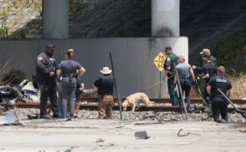 Tres muertos al estrellarse una avioneta en una transitada avenida en Florida