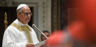 Estas son las primeras actividades del Papa León XIV