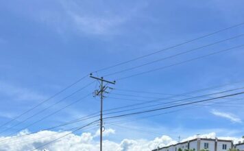 Bomberos de Valencia y CPNB desplegaron Frente Preventivo en Los Bucares Valencia