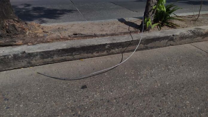 53e5e54c-fc20-4a4f-a6c8-dd2fbfe2439d Lomas