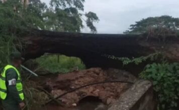 Colapsó tramo en carretera Panamericana tras fuertes lluvias en Mérida Mérida