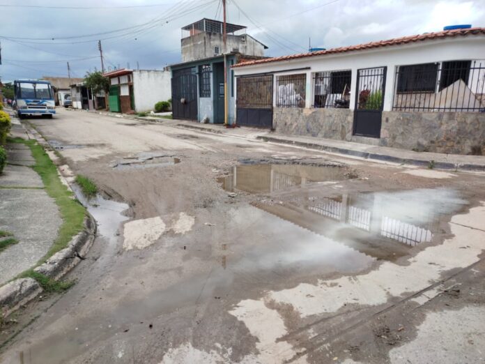 f8ea6b96-b308-4e1f-bf76-46aeade6ba94 Lomas