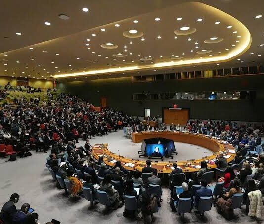 DDHH de ONU condena intervención de EE.UU. en Venezuela ONU